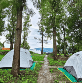 Kodaikanal Camping